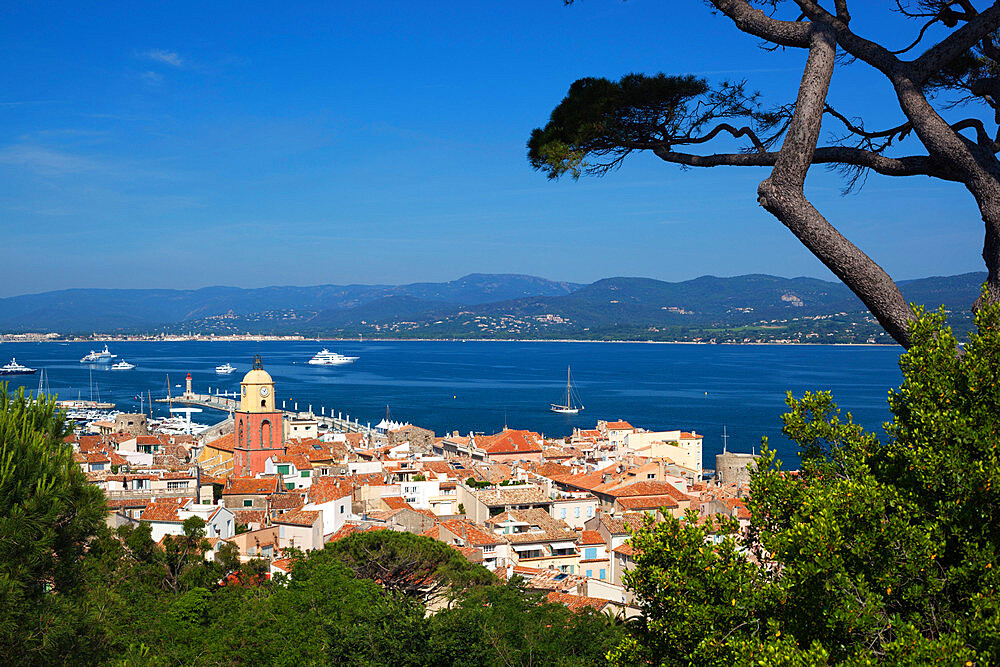 View over old town, Saint-Tropez, Var, Provence-Alpes-Cote d'Azur, France, Mediterranean, Europe