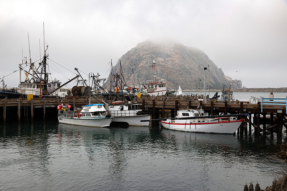 Morro Rock in fog, Morro Bay, San Luis Obispo County, California, United States of America, North America