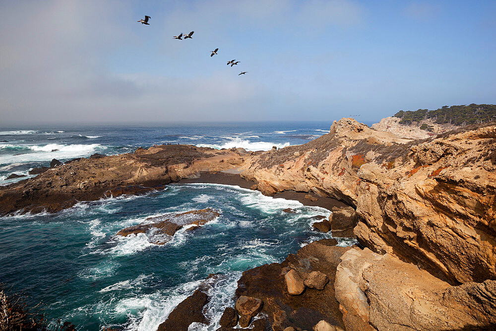 Point Lobos State Natural Reserve, Carmel, Monterey County, California, United States of America, North America