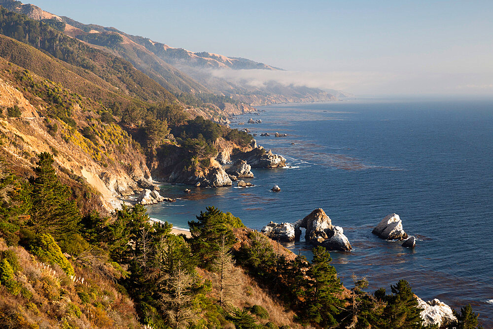 Coastline at Julia Pfeiffer Burns State Park, Big Sur, Monterey County, California, United States of America, North America