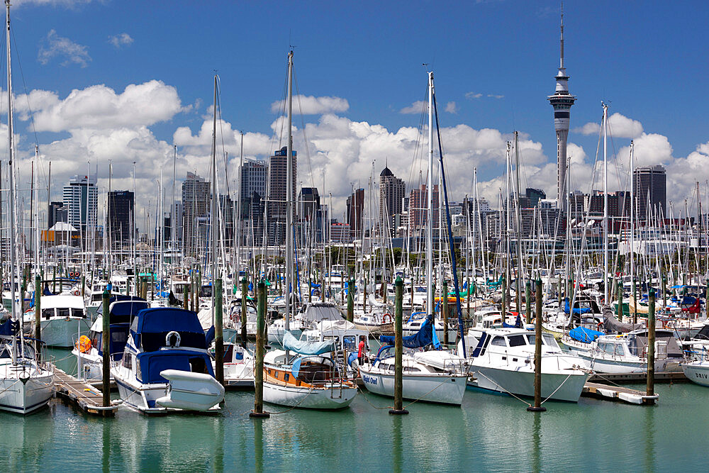 Westhaven Marina with the city and Sky Tower, Auckland, North Island, New Zealand, Pacific