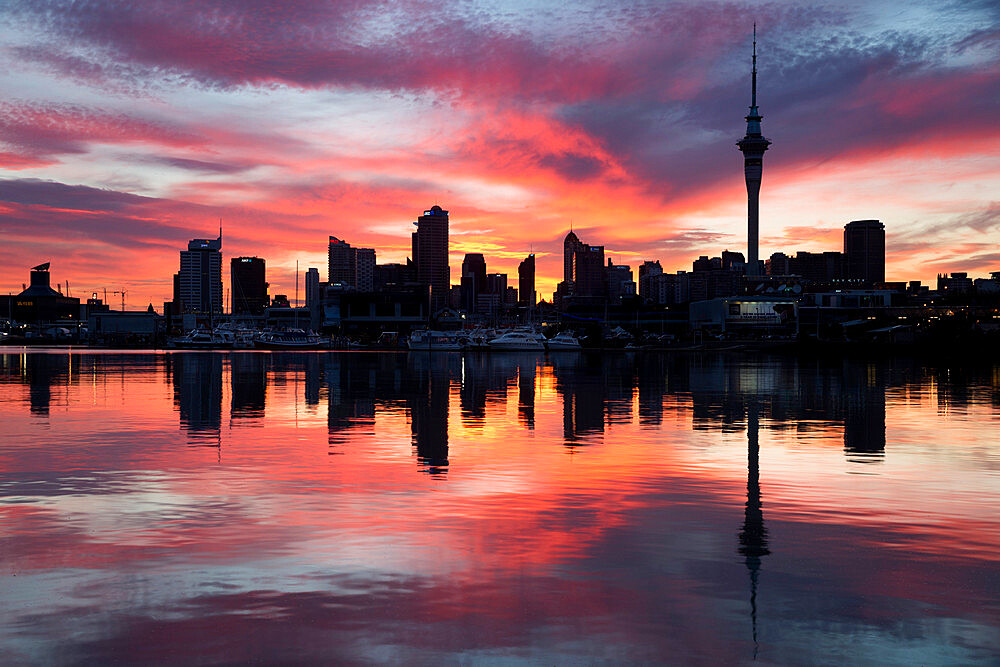 Sky Tower and city at dawn from Westhaven Marina, Auckland, North Island, New Zealand, Pacific