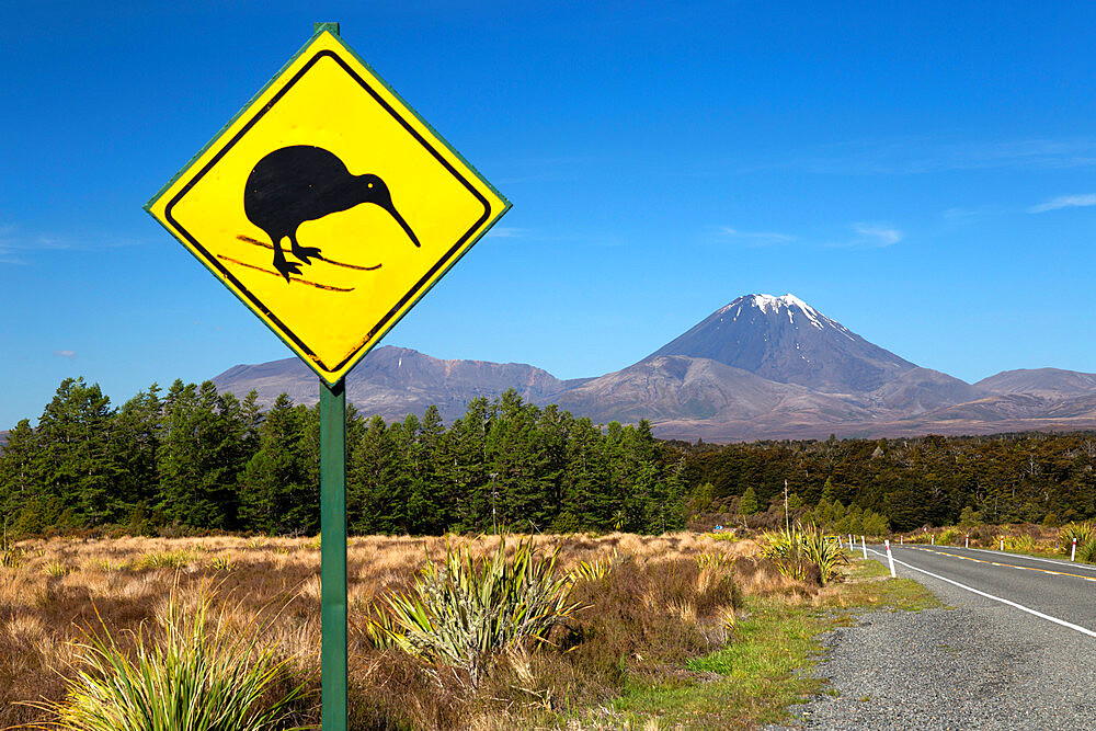 Mount Ngauruhoe with Kiwi crossing sign, Tongariro National Park, UNESCO World Heritage Site, North Island, New Zealand, Pacific