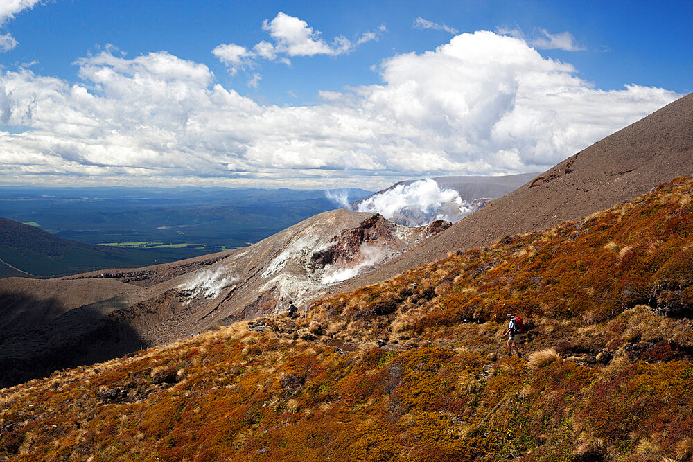 Steam rising from side of Mount Tongariro, Tongariro National Park, UNESCO World Heritage Site, North Island, New Zealand, Pacific