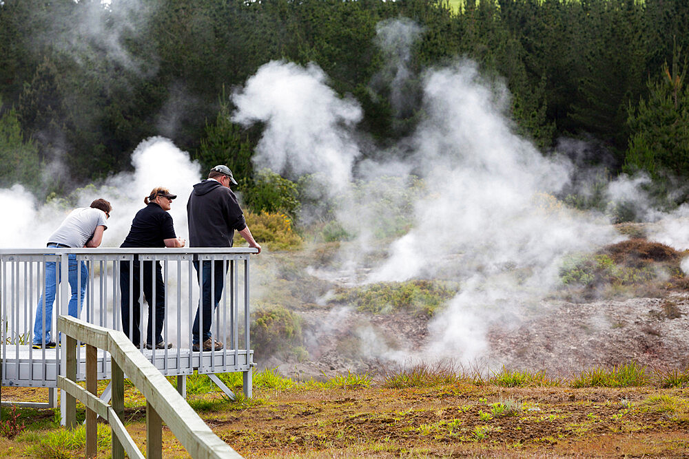 Hot steam, Craters of the Moon Thermal Area, Taupo, North Island, New Zealand, Pacific