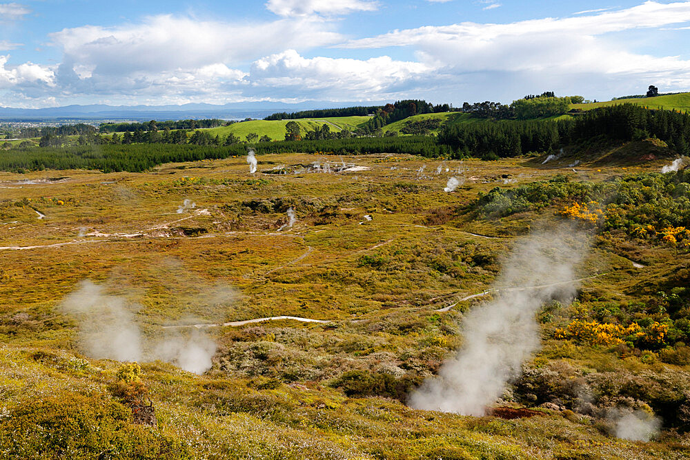 Craters of the Moon Thermal Area, Taupo, North Island, New Zealand, Pacific