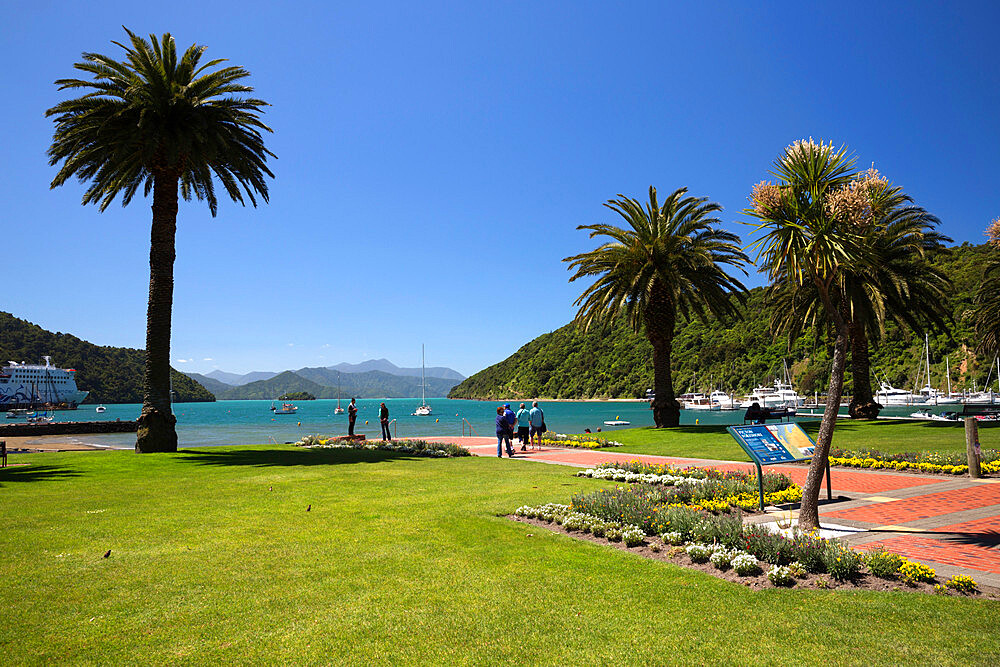 Waterfront gardens, Picton, Marlborough Region, South Island, New Zealand, Pacific