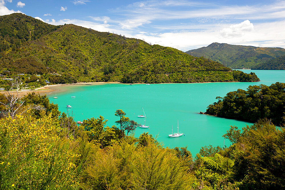 Ngakuta Bay, Queen Charlotte Sound, near Picton, Marlborough Region, South Island, New Zealand, Pacific