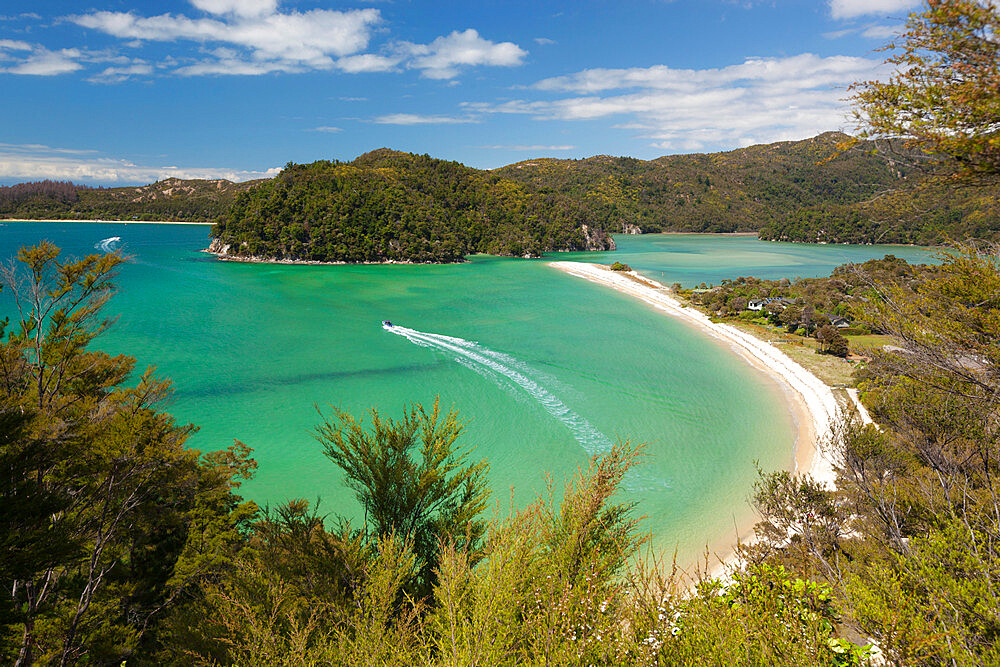 Torrent Bay, Abel Tasman National Park, Nelson region, South Island, New Zealand, Pacific