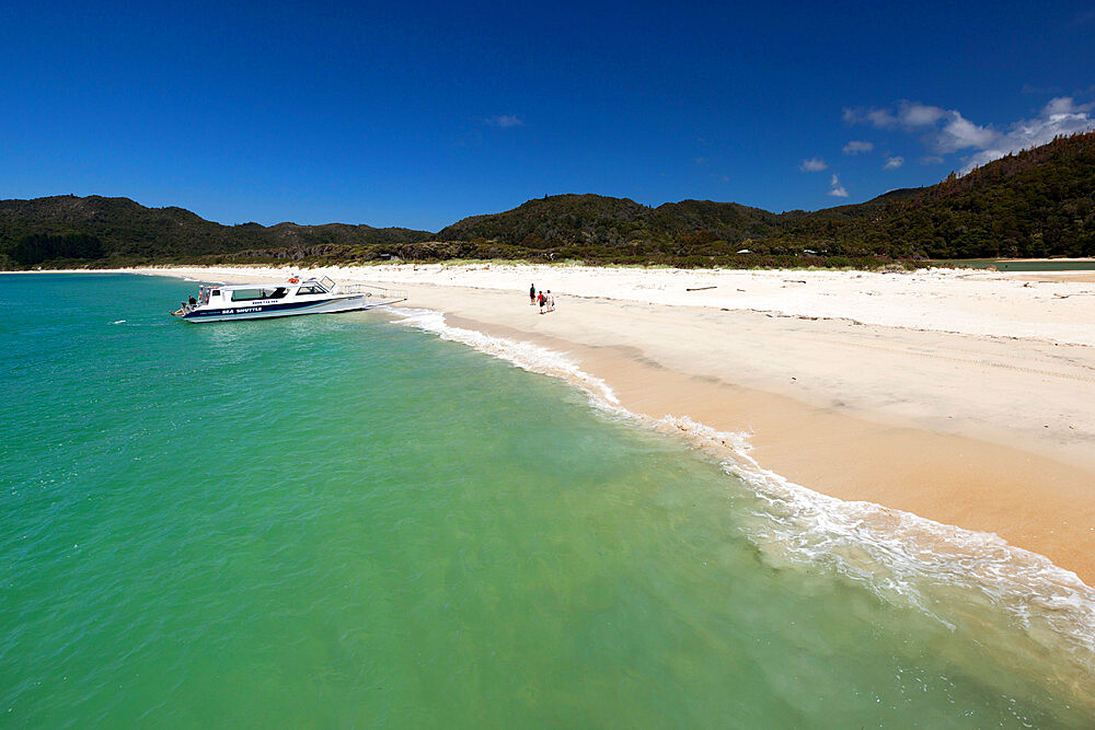 Awaroa beach, Abel Tasman National Park, Nelson region, South Island, New Zealand, Pacific