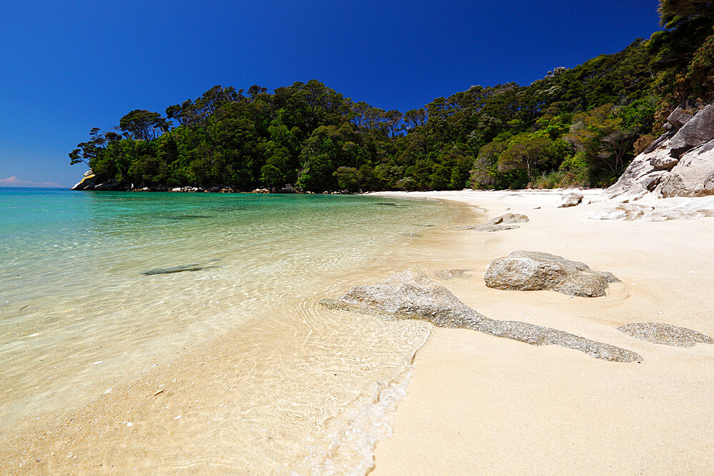 Frenchman's Bay beach, Abel Tasman National Park, Nelson region, South Island, New Zealand, Pacific