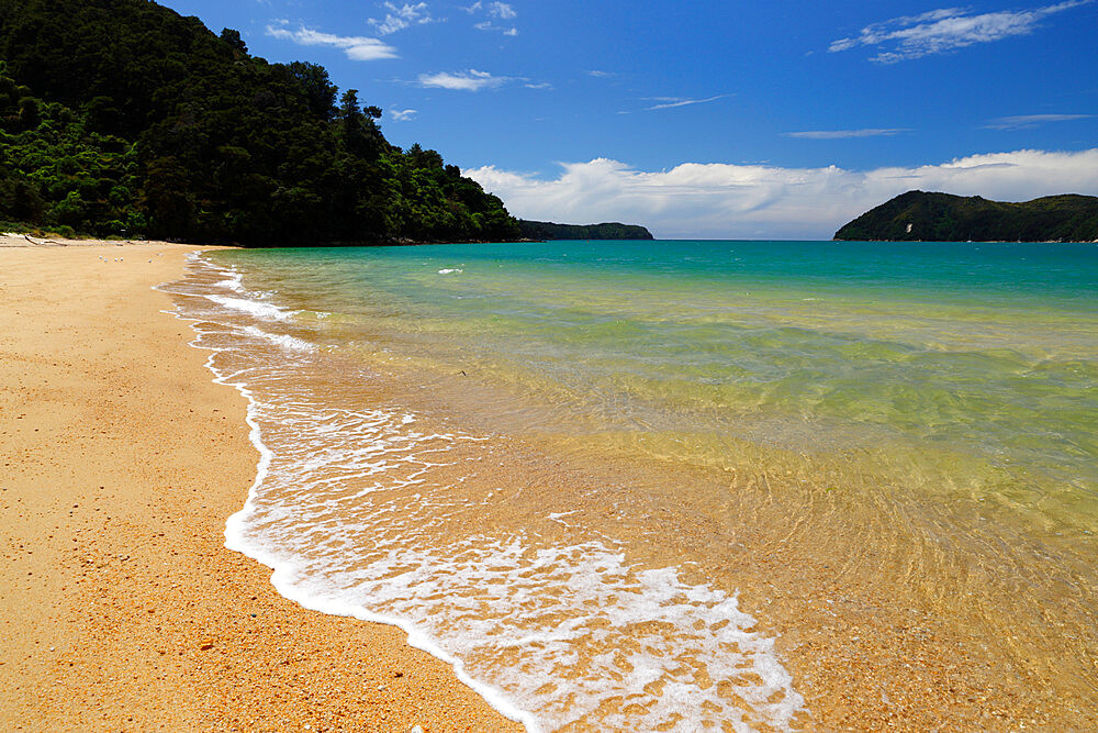 Apple Tree Bay beach, Abel Tasman National Park, Nelson region, South Island, New Zealand, Pacific