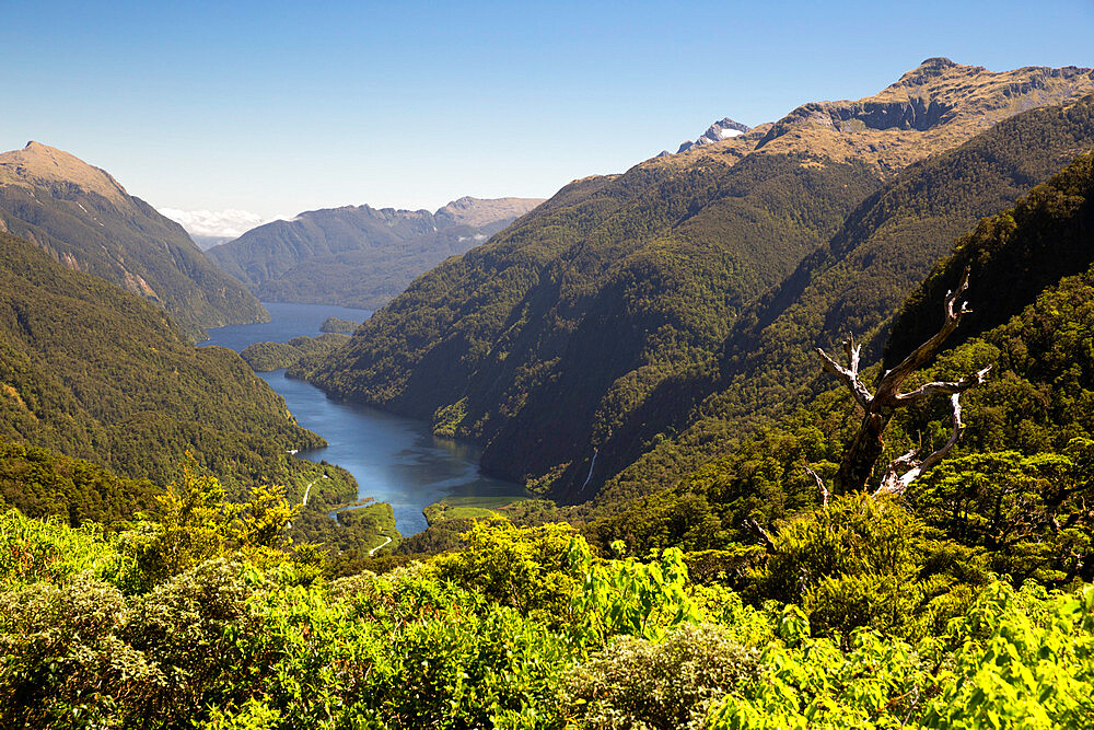 View over Deep Cove, Doubtful Sound, Fiordland National Park, UNESCO World Heritage Site, South Island, New Zealand, Pacific