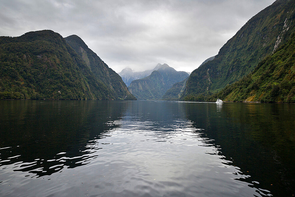 Doubtful Sound, Fiordland National Park, UNESCO World Heritage Site, South Island, New Zealand, Pacific