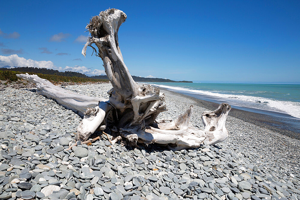 Gillespies Beach, near Fox Glacier, West Coast, South Island, New Zealand, Pacific