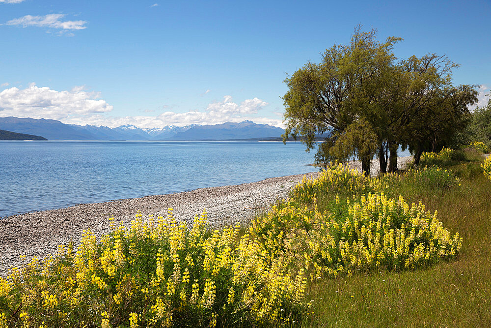 Lake Te Anau, Te Anau, Southland, South Island, New Zealand, Pacific