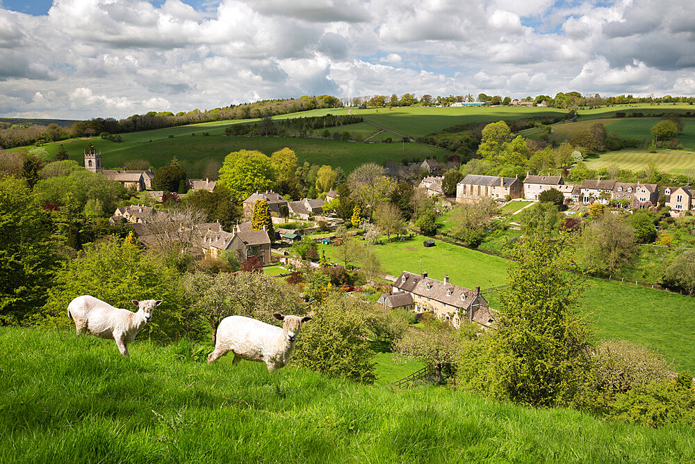 Naunton, Cotswolds, Gloucestershire, England, United Kingdom, Europe