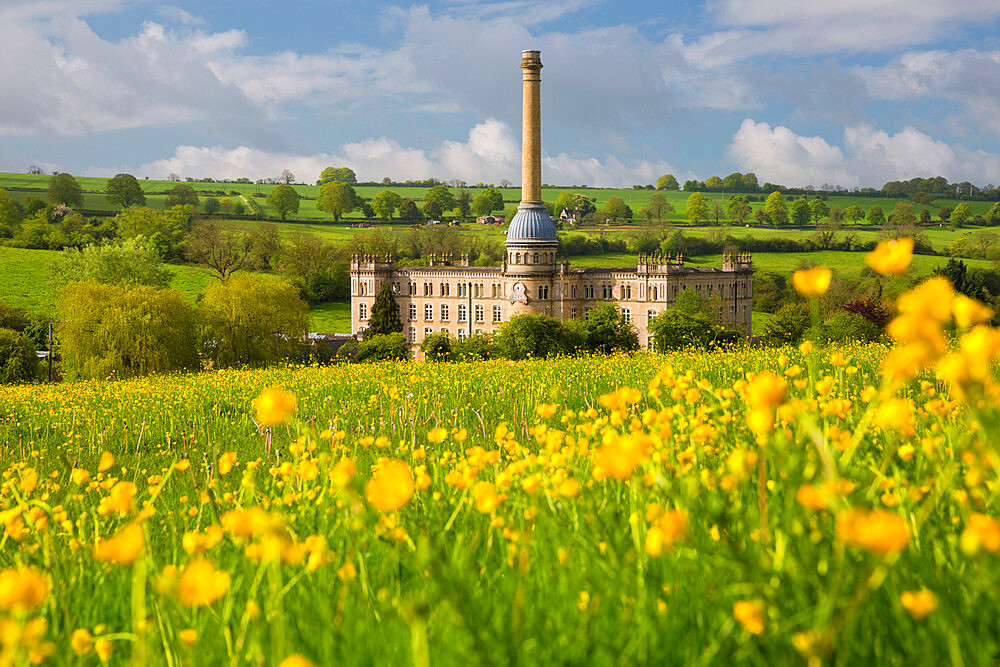 Bliss Mill with buttercups, Chipping Norton, Cotswolds, Oxfordshire, England, United Kingdom, Europe