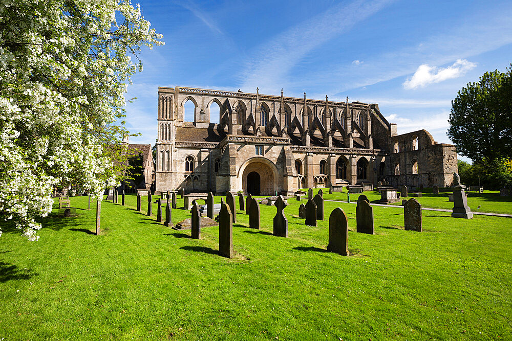 Malmesbury Abbey, Malmesbury, Wiltshire, England, United Kingdom, Europe