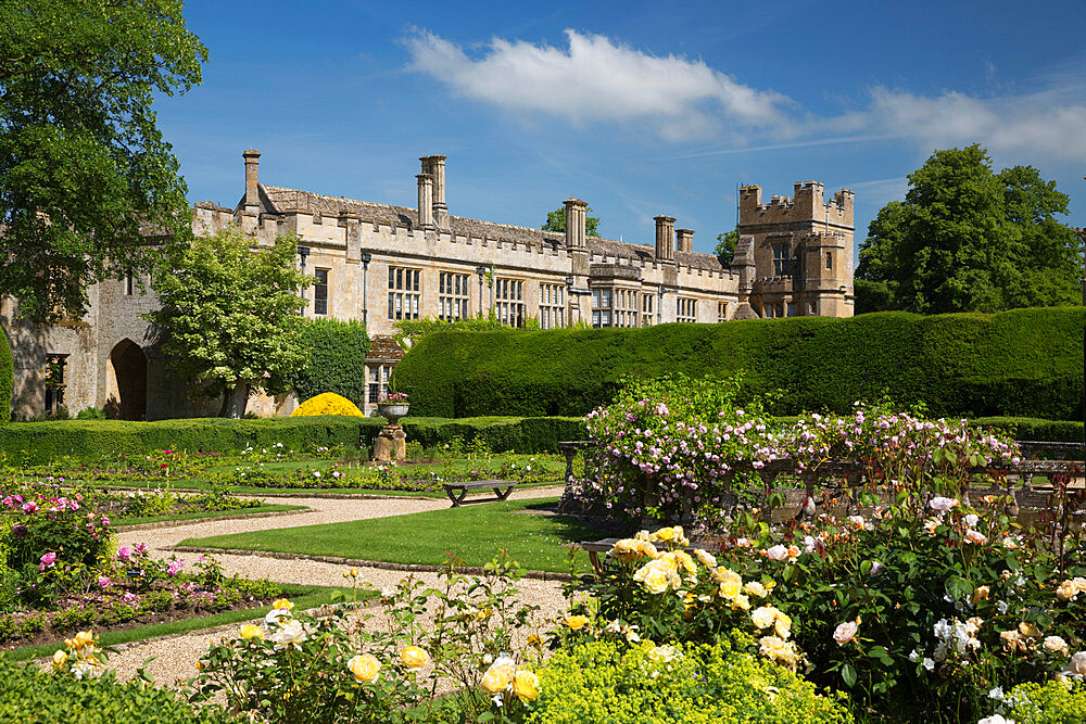 Roses in the Queen's Garden, Sudeley Castle, Winchcombe, Cotswolds, Gloucestershire, England, United Kingdom, Europe