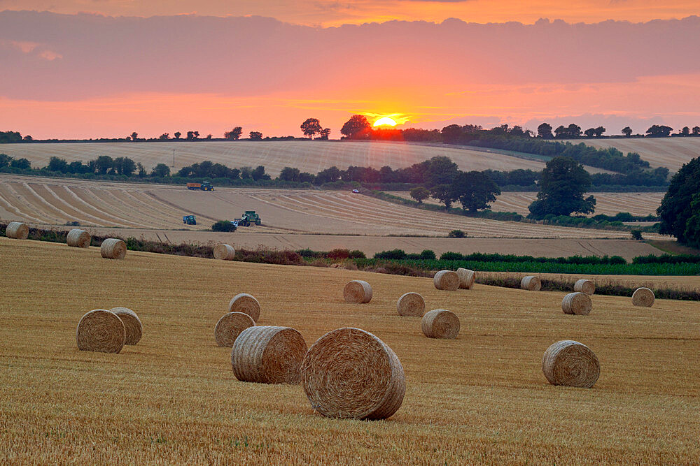 Round hay bales at harvest with sunset, Swinbrook, Cotswolds, Oxfordshire, England, United Kingdom, Europe