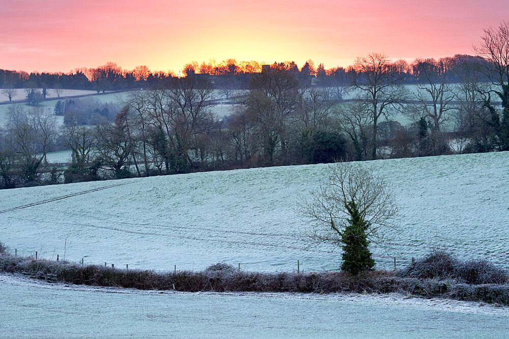 Winter trees and fields in dawn frost, Stow-on-the-Wold, Gloucestershire, Cotswolds, England, United Kingdom, Europe