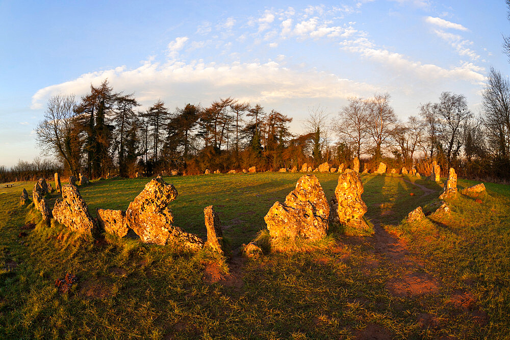 The Rollright Stones, a Bronze Age stone circle, Chipping Norton, Oxfordshire, Cotswolds, England, United Kingdom, Europe