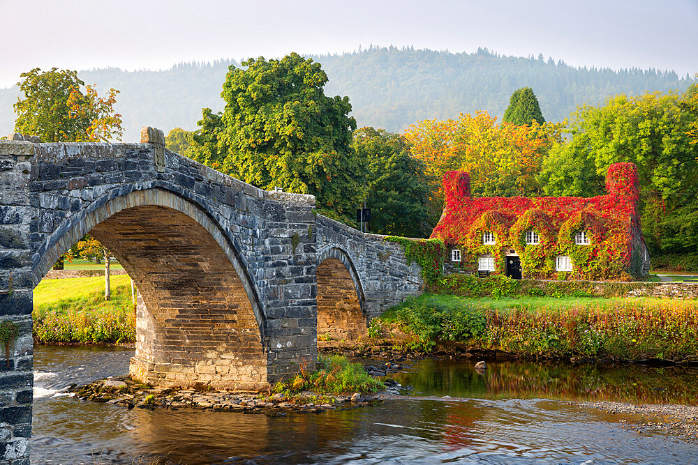 Tu Hwnt i'r Bont tearoom and Pont Fawr (Big Bridge) in autumn, Llanrwst, Snowdonia, Conwy, Wales, United Kingdom, Europe