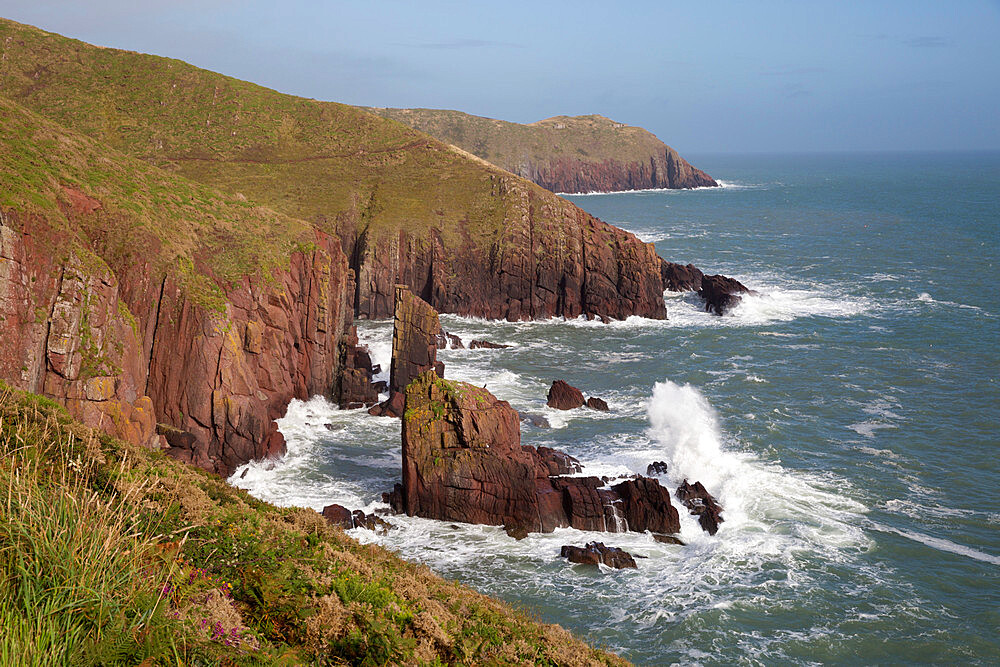 View to Old Castle Head, near Manorbier, Pembrokeshire Coast National Park, Pembrokeshire, Wales, United Kingdom, Europe