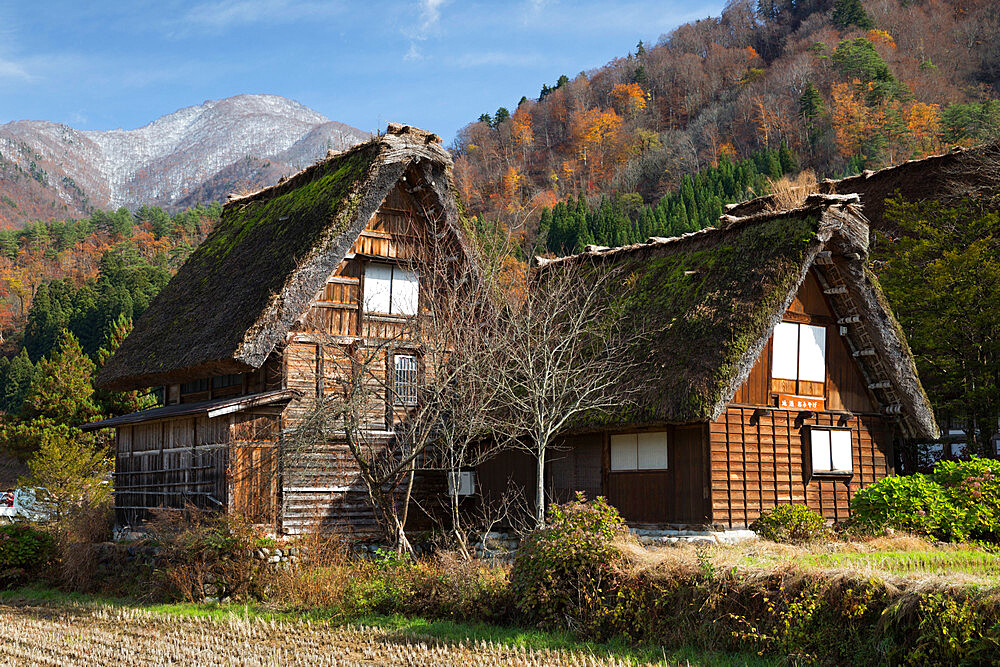 Gassho-zukuri folk houses, Ogimachi village, Shirakawa-go, near Takayama, Central Honshu, Japan, Asia