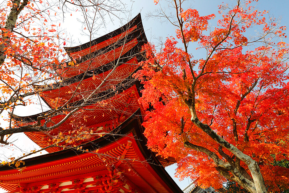 Five-Storey Pagoda (Gojunoto) in autumn, UNESCO World Heritage Site, Miyajima Island, Western Honshu, Japan, Asia