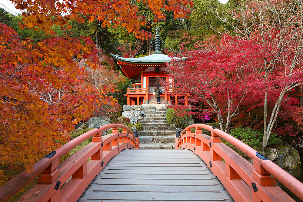 Japanese temple garden in autumn, Daigoji Temple, Kyoto, Japan, Asia