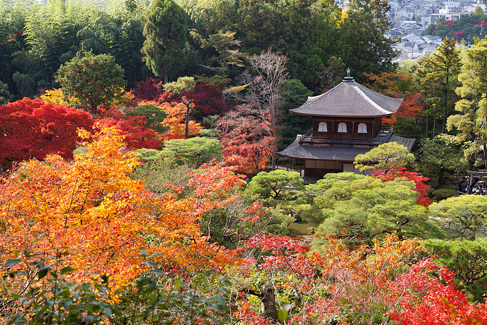 The Silver Pavilion and gardens in autumn, Buddhist Temple of Ginkaku-ji, Northern Higashiyama, Kyoto, Japan, Asia