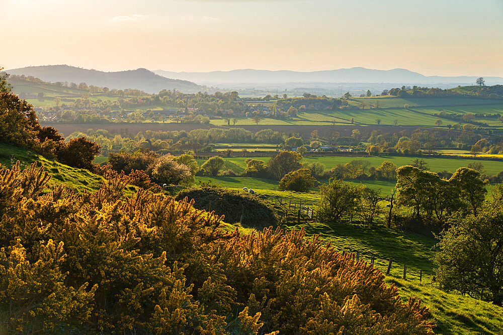 Cotswold landscape with view to Malvern Hills, near Winchcombe, Cotswolds, Gloucestershire, England, United Kingdom, Europe