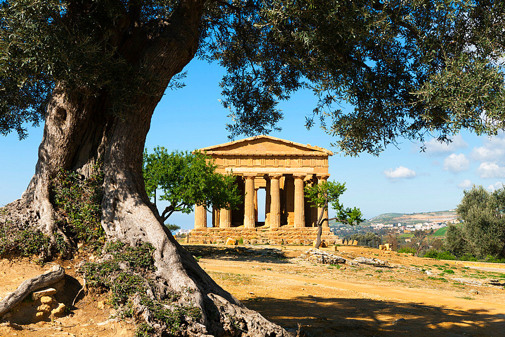 Tempio di Concordia (Concord), Valle dei Templi, UNESCO World Heritage Site, Agrigento, Sicily, Italy, Europe