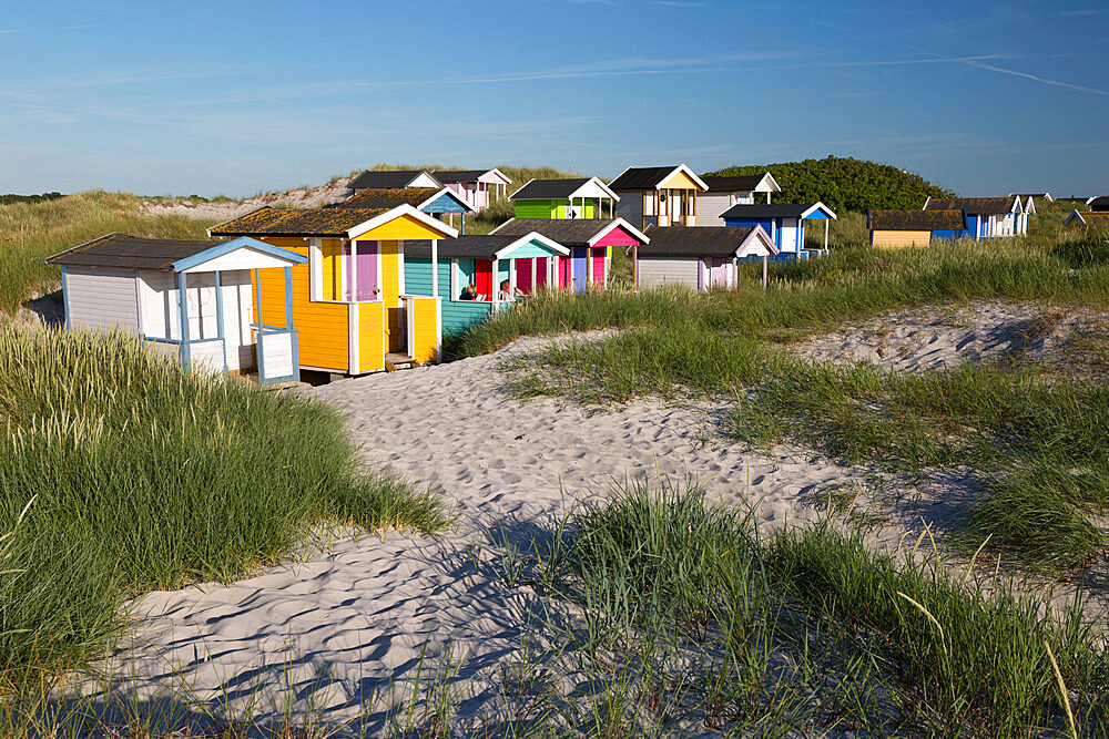 Colourful beach huts in sand dunes, Skanor Falsterbo, Falsterbo Peninsula, Skane, South Sweden, Sweden, Scandinavia, Europe