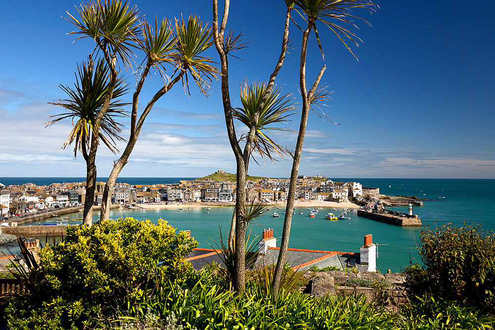 View of old town and harbour with Smeatons Pier viewed from The Malakoff, St. Ives, Cornwall, England, United Kingdom, Europe