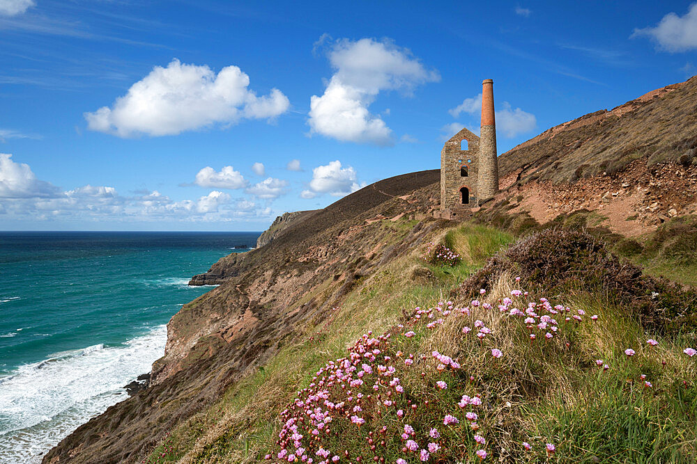 Wheal Coates Engine House, UNESCO World Heritage Site, and coastline with thrift flowers, St. Agnes, Cornwall, England, United Kingdom, Europe