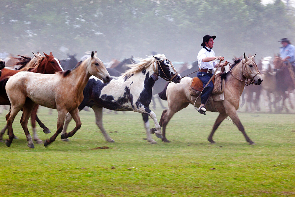 Gaucho festival on the Day of Tradition, San Antonio de Areco, La Pampa, Argentina, South America