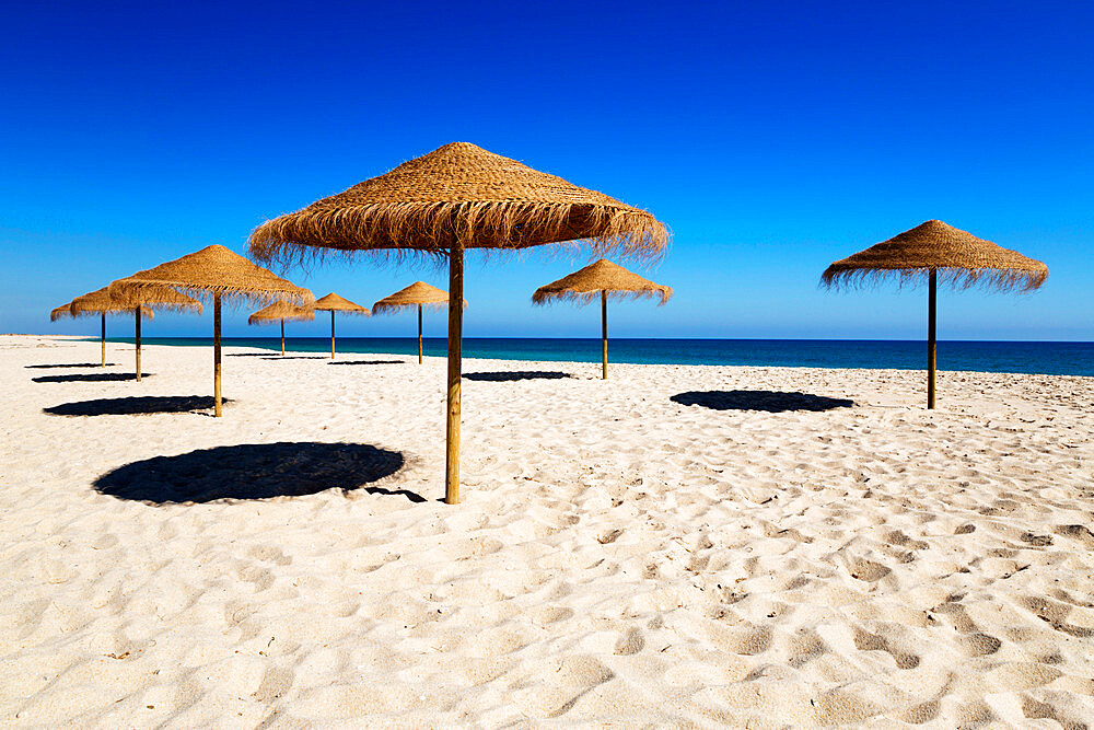 Straw umbrellas on empty white sand beach with clear sea behind, Ilha do Farol, Culatra Barrier Island, Olhao, Algarve, Portugal, Europe