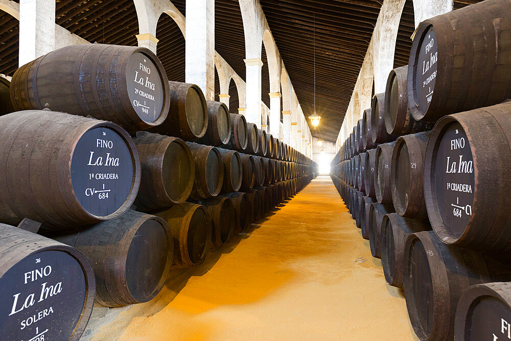 Sherry barrels at the Lustau Bodega, Jerez de la Frontera, Cadiz province, Andalucia, Spain, Europe