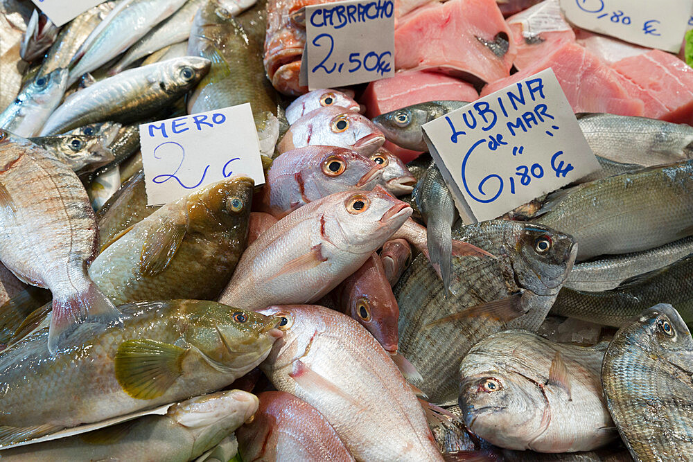 Fresh fish in the Mercado Central de Abastos food market, Jerez de la Frontera, Cadiz province, Andalucia, Spain, Europe