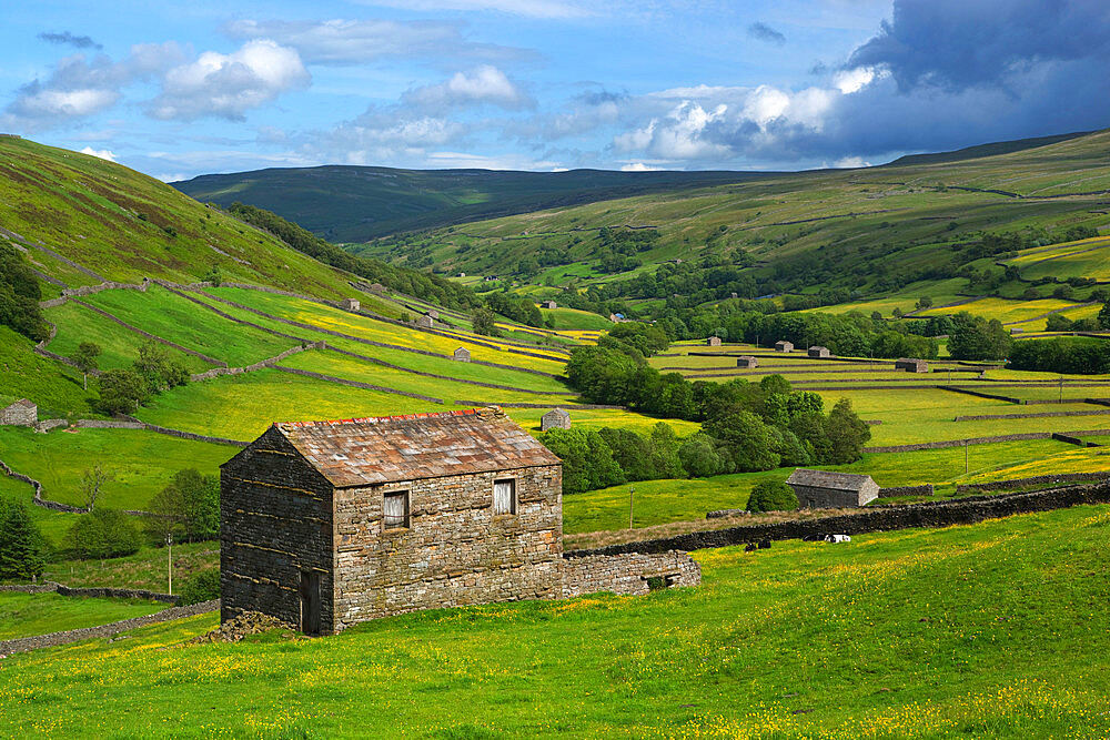 View over the Swaledale valley, near Thwaite, Yorkshire Dales National Park, Yorkshire, England, United Kingdom, Europe