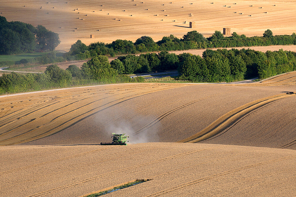 Harvesting wheat with combine harvester, near Winchester, Hampshire, England, United Kingdom, Europe