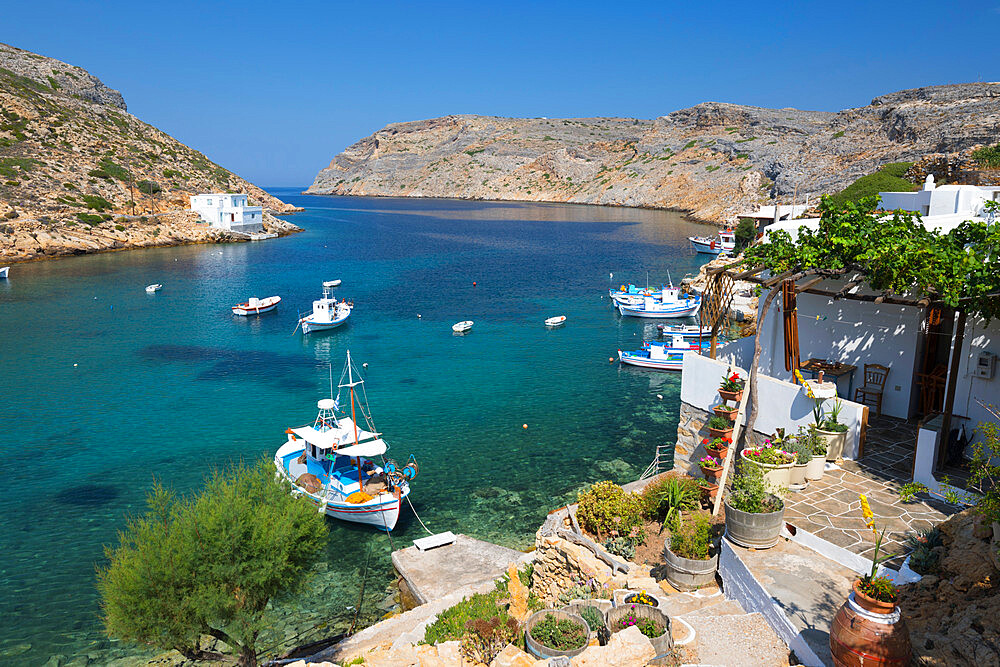 View over villa garden to fishing boats in harbour, Cheronissos, Sifnos, Cyclades, Aegean Sea, Greek Islands, Greece, Europe