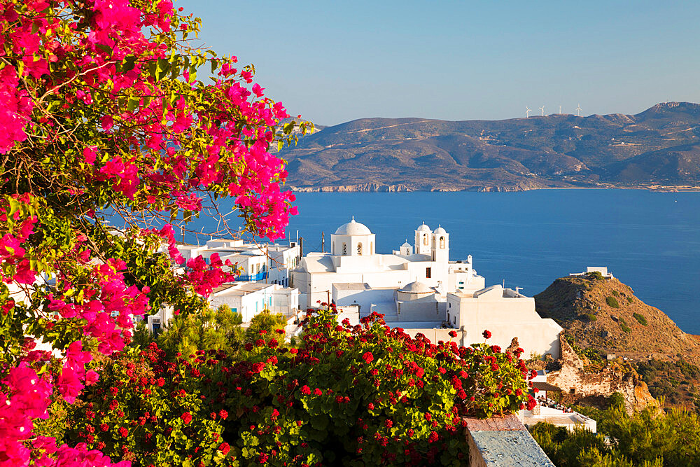 White old town of Plaka and Milos Bay with colourful bougainvillea, Plaka, Milos, Cyclades, Aegean Sea, Greek Islands, Greece, Europe