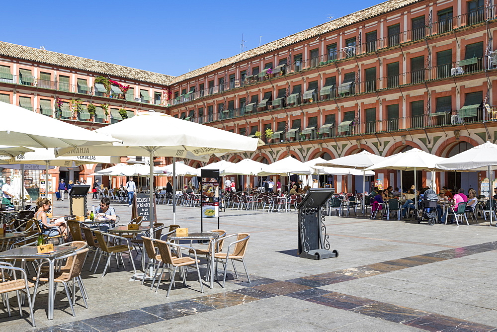 Cafes and restaurants in the Plaza de la Corredera, Cordoba, Andalucia, Spain, Europe