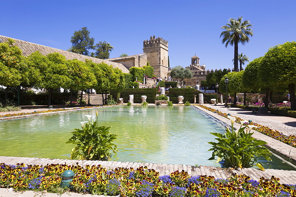 Gardens of the Alcazar de Los Reyes Cristianos, UNESCO World Heritage Site, Cordoba, Andalucia, Spain, Europe