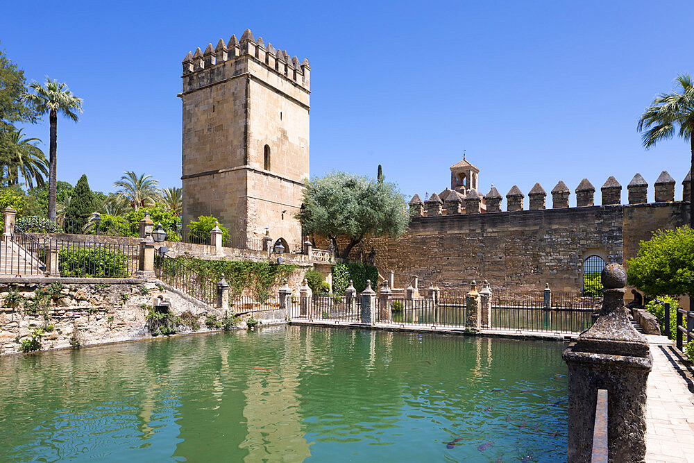 Gardens of the Alcazar de Los Reyes Cristianos, UNESCO World Heritage Site, Cordoba, Andalucia, Spain, Europe