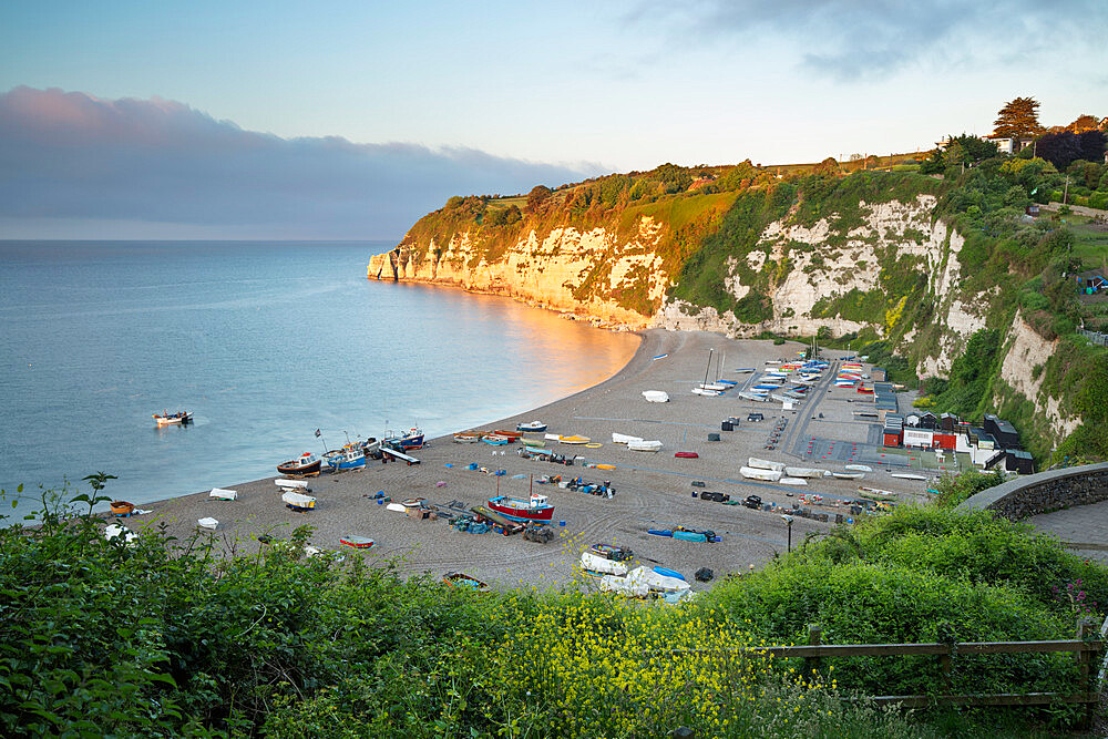 View over Beer beach and cliffs at sunrise, Beer, Jurassic Coast, UNESCO World Heritage Site, Devon, England, United Kingdom, Europe